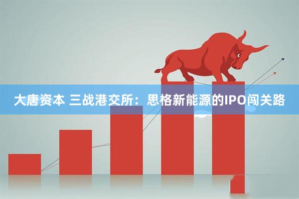 大唐资本 三战港交所：思格新能源的IPO闯关路